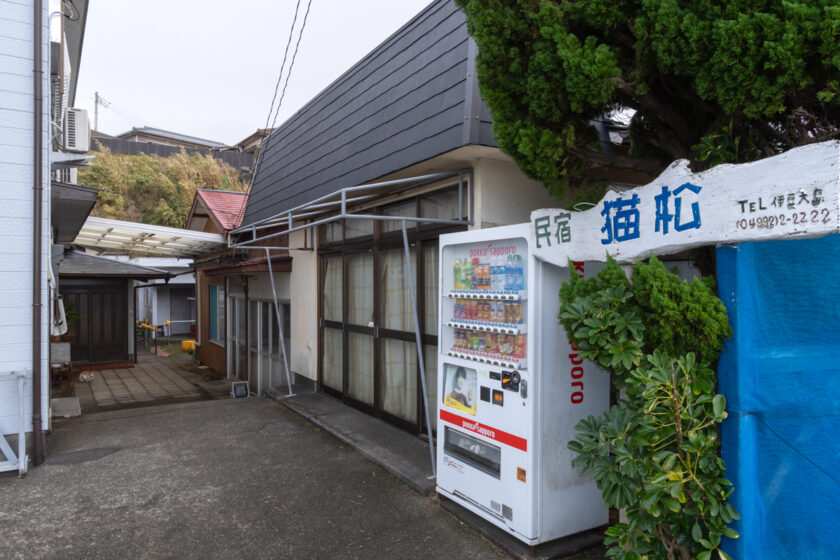 大島町の猫