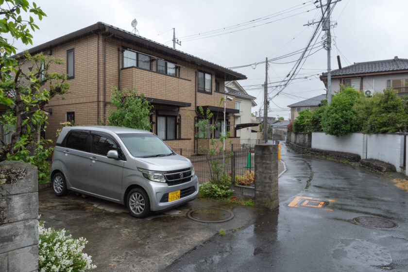 日野市の猫