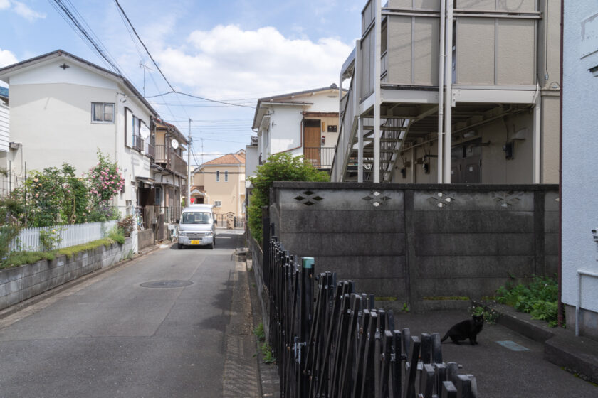 立川市の猫