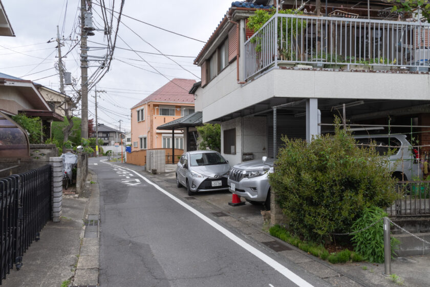 日野市の猫