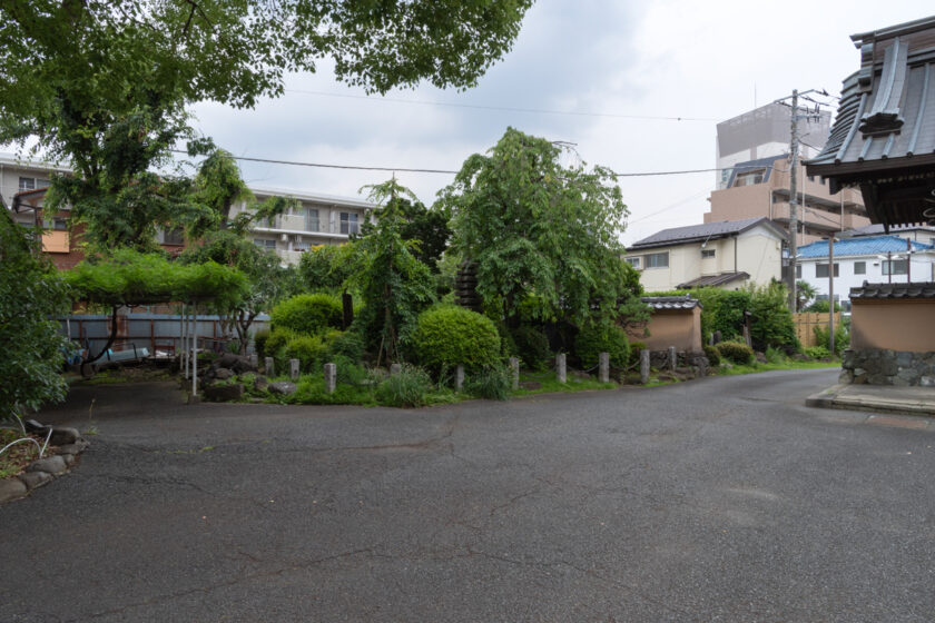 川崎市の猫