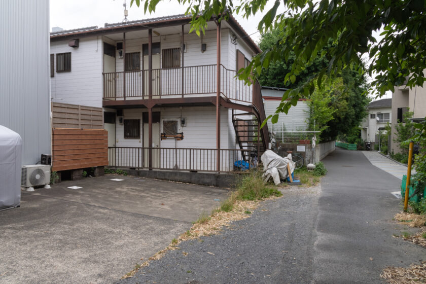 川崎市の猫