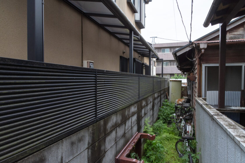 立川市の猫