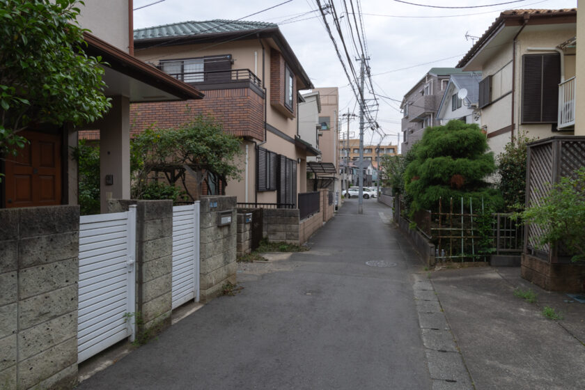 川崎市の猫