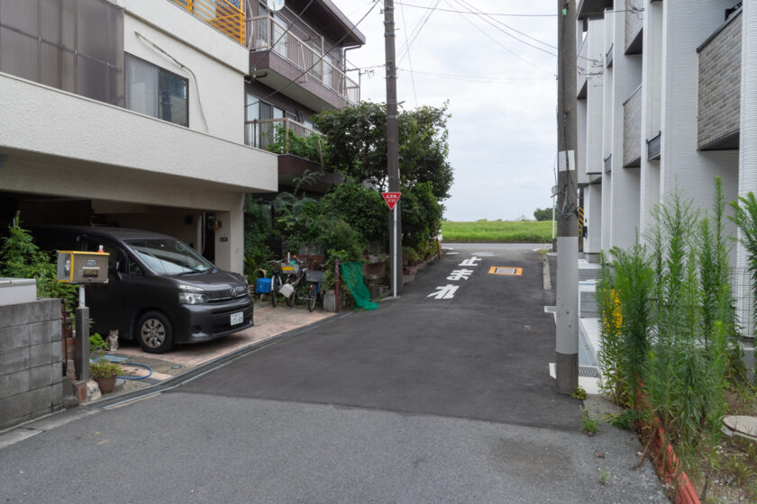 川崎市の猫