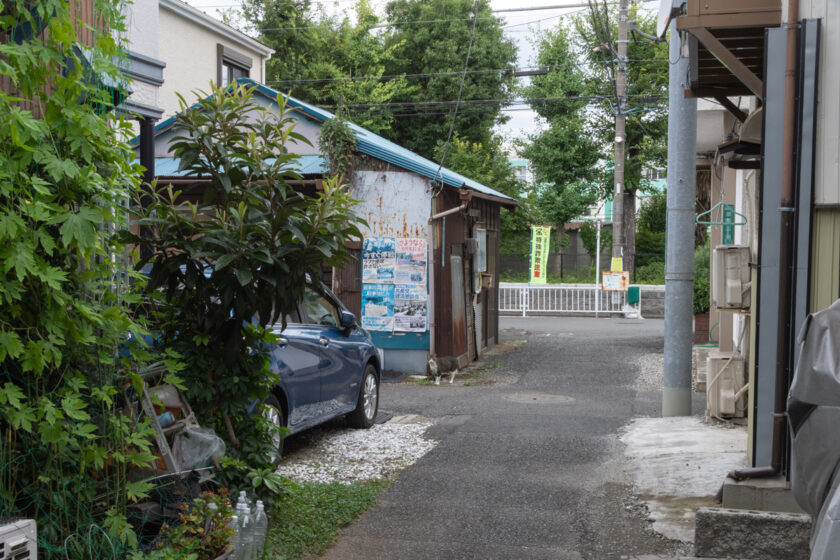 横浜市の猫