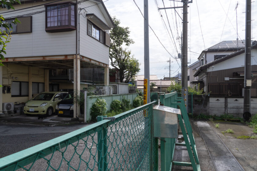 昭島市の猫