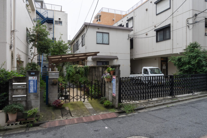 新宿区の猫