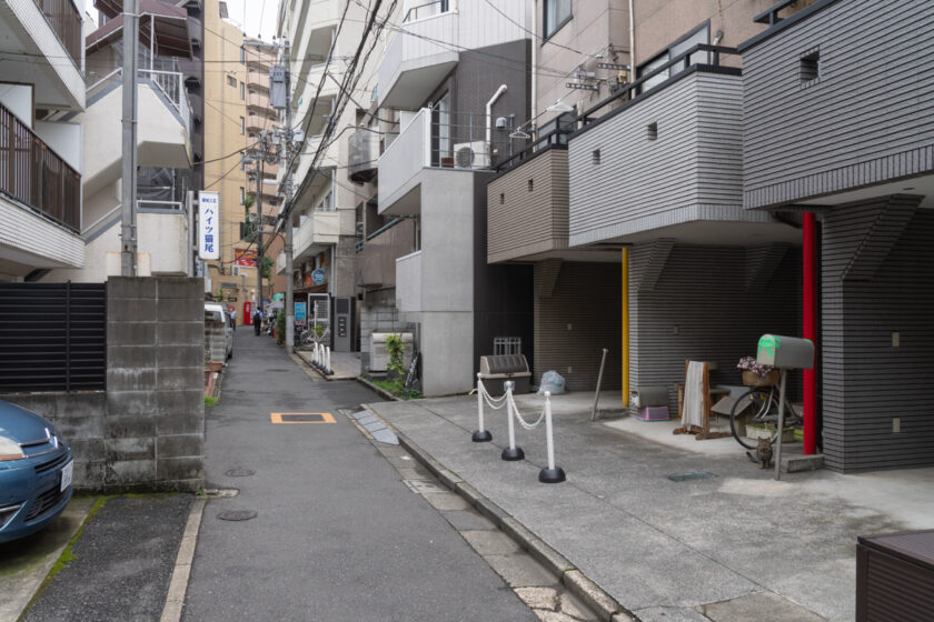 新宿区の猫