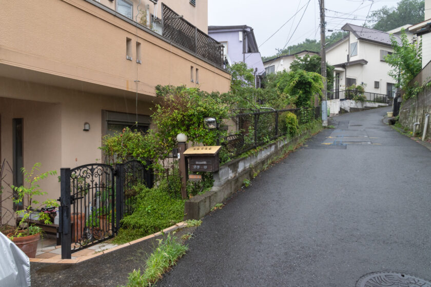 日野市の猫