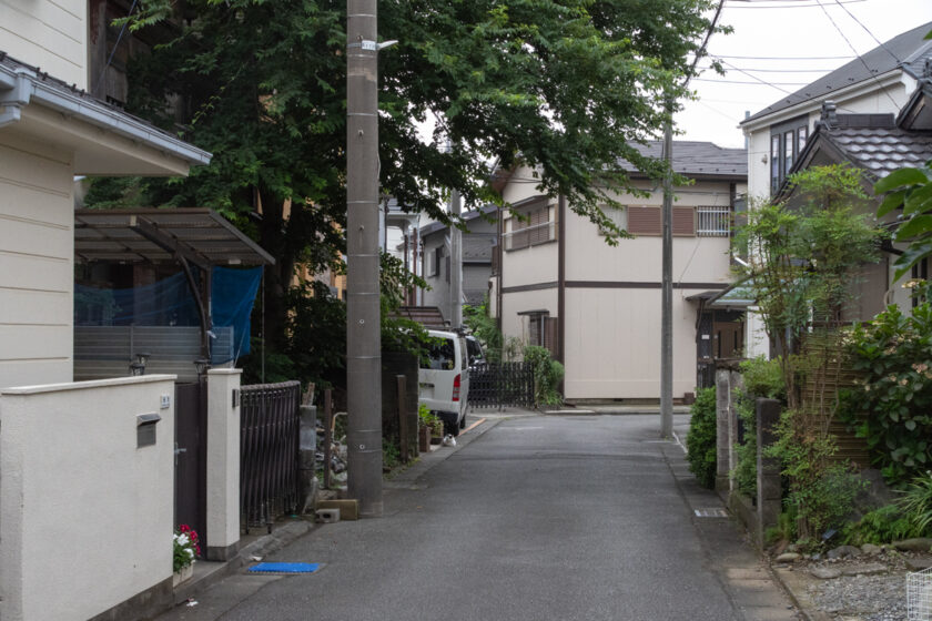 府中市の猫