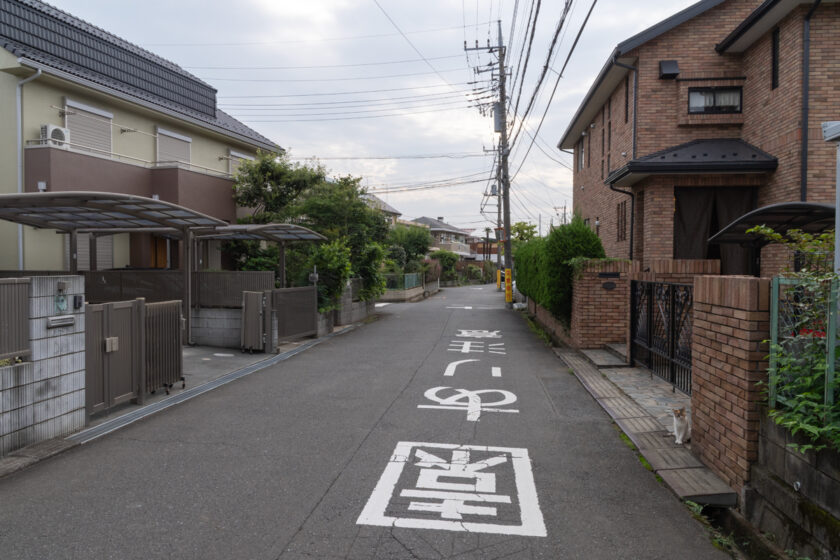 所沢市の猫