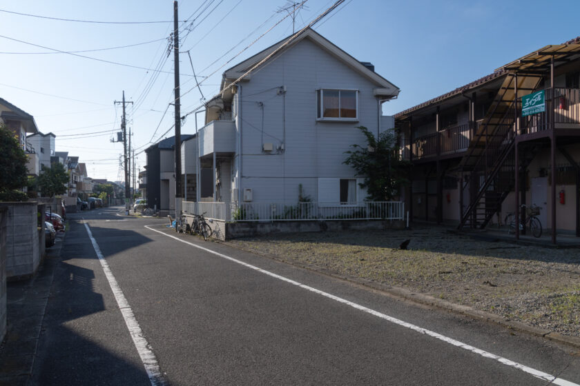 日野市の猫