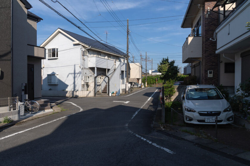 日野市の猫