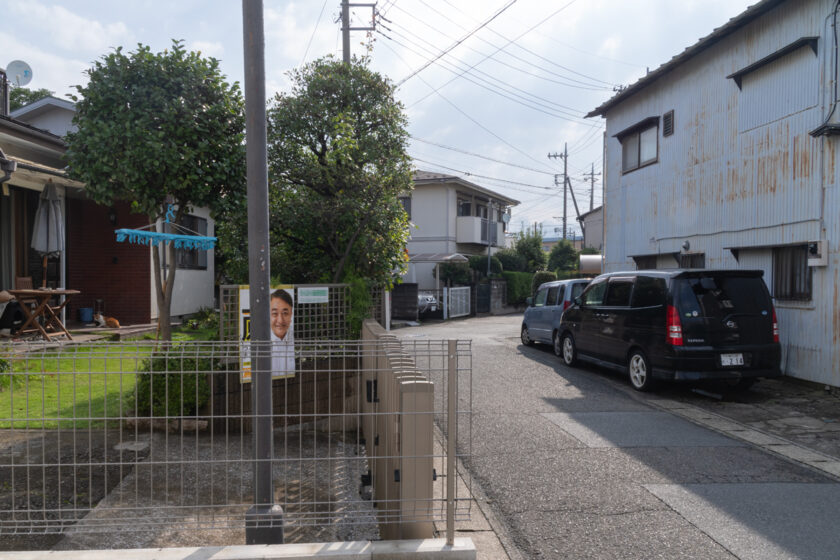 川崎市の猫