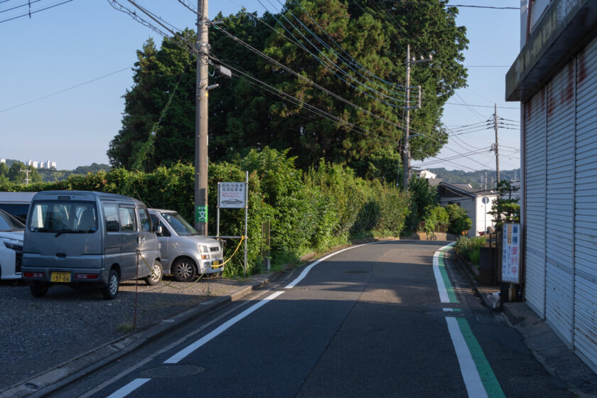 多摩市の猫