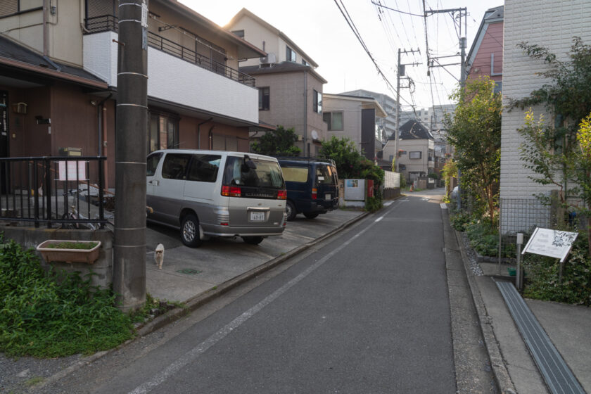 昭島市の猫