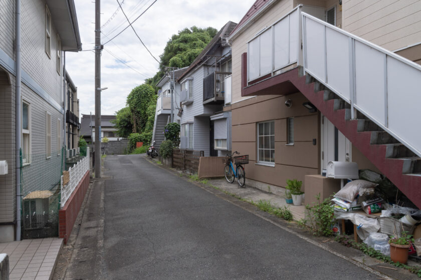 川崎市の猫