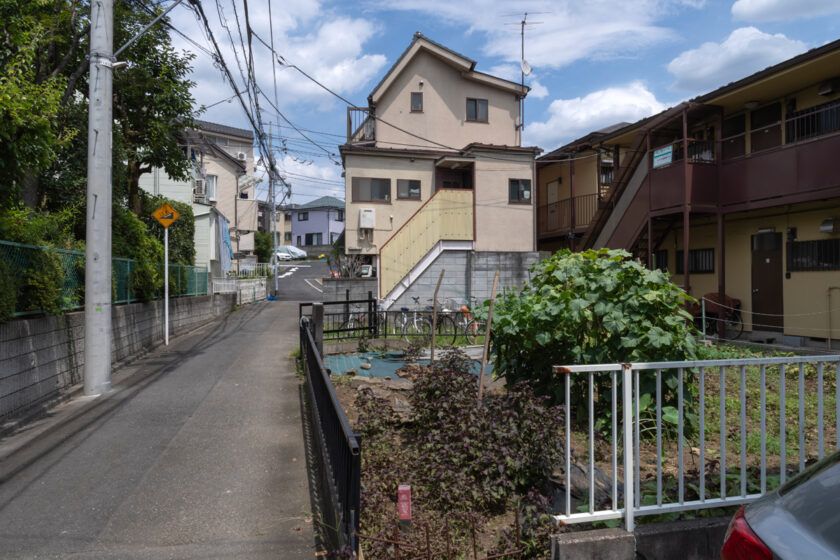 府中市の猫