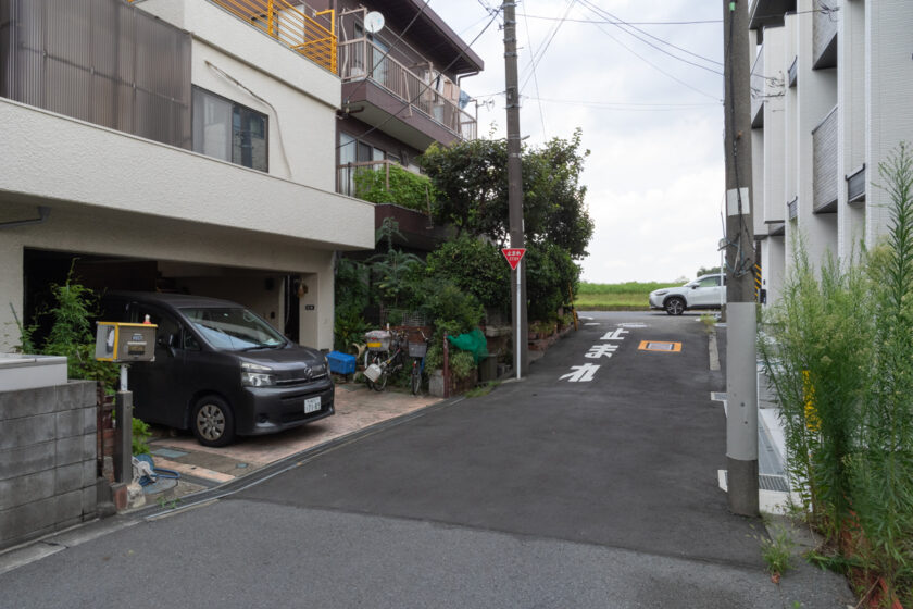 川崎市の猫