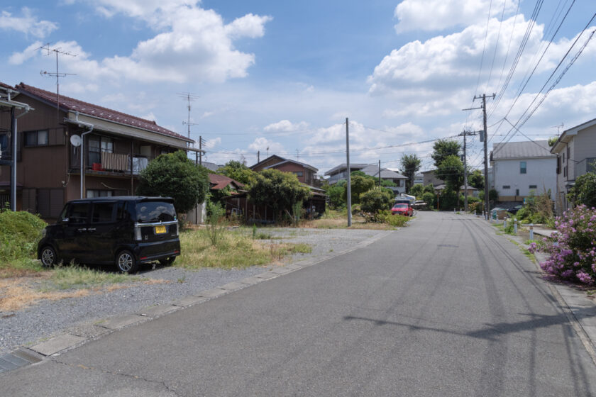 川崎市の猫