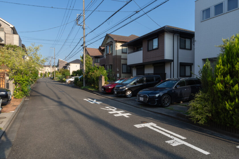 川崎市の猫