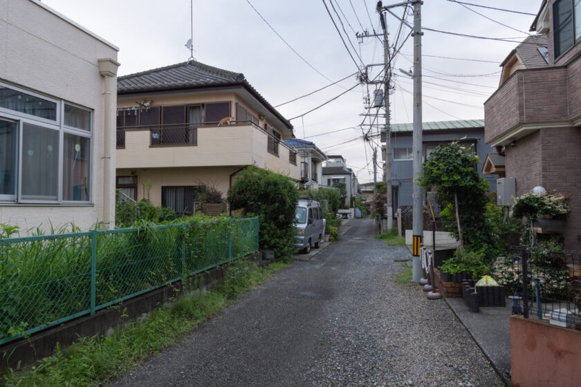 立川市の猫