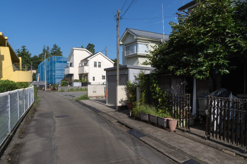 昭島市の猫