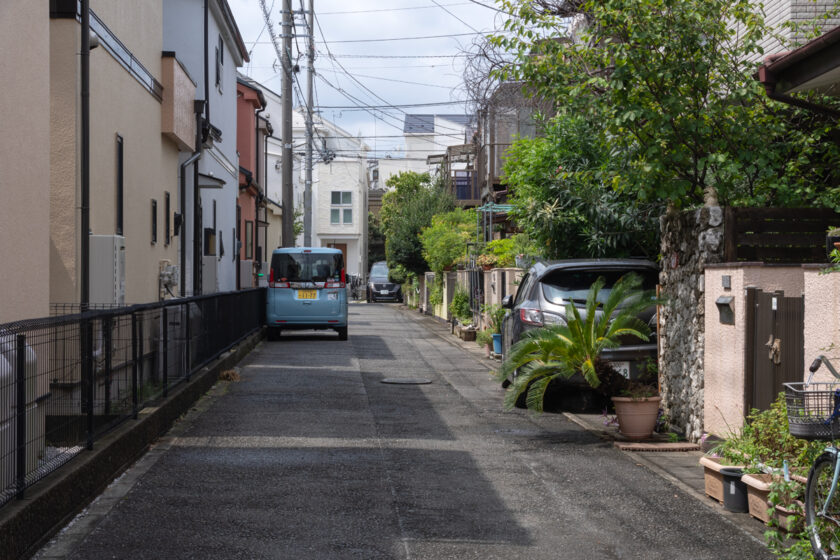 川崎市の猫