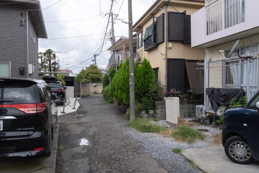 稲城市の猫