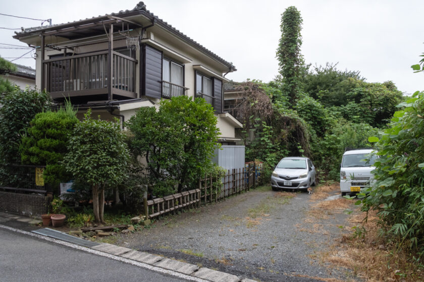 日野市の猫