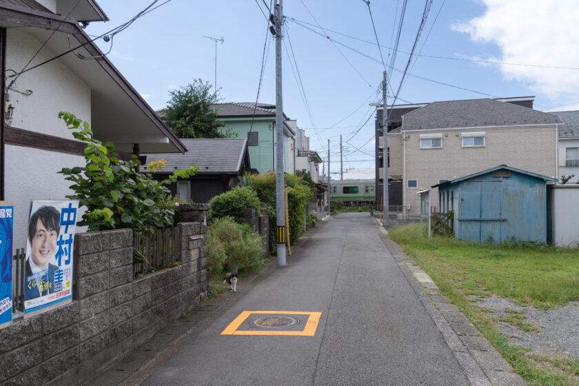 相模原市の猫