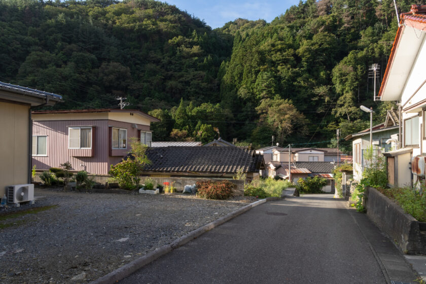 大船渡市の猫