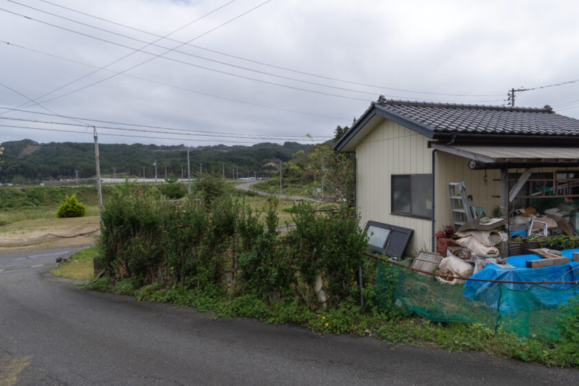 大槌町の猫