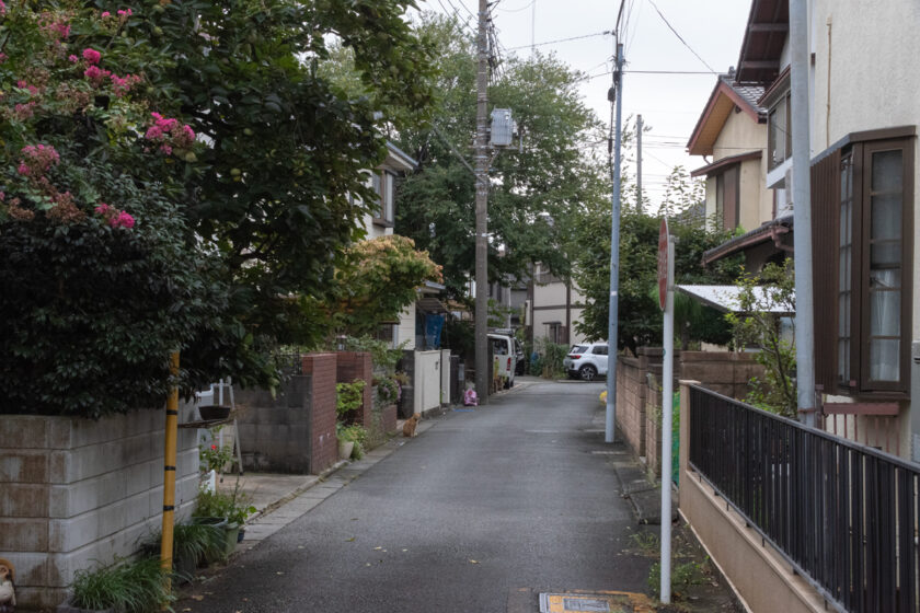 府中市の猫