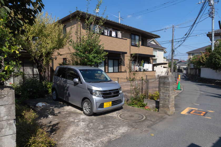 日野市の猫