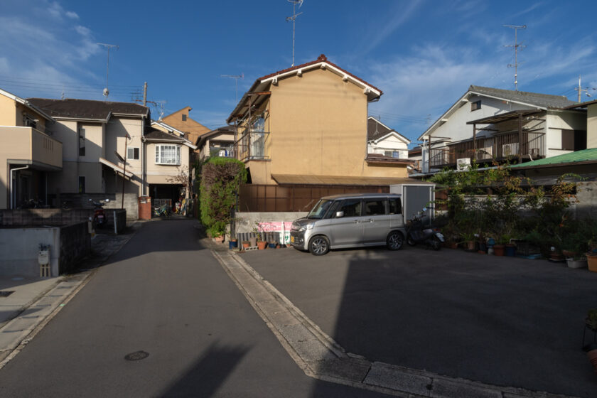 京都市の猫