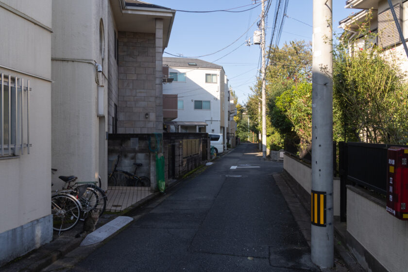 立川市の猫