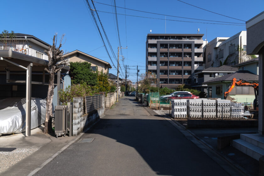 国立市の猫