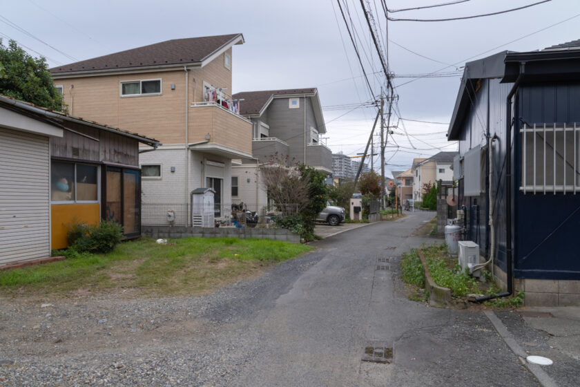 日野市の猫