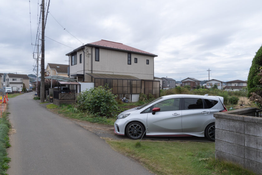 日野市の猫