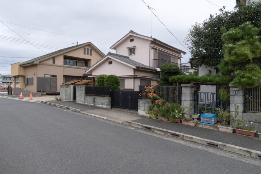 日野市の猫