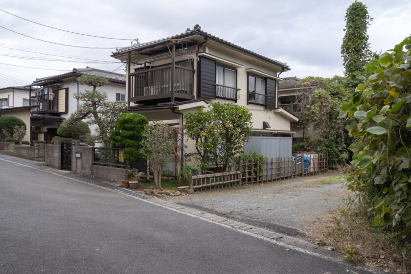 日野市の猫