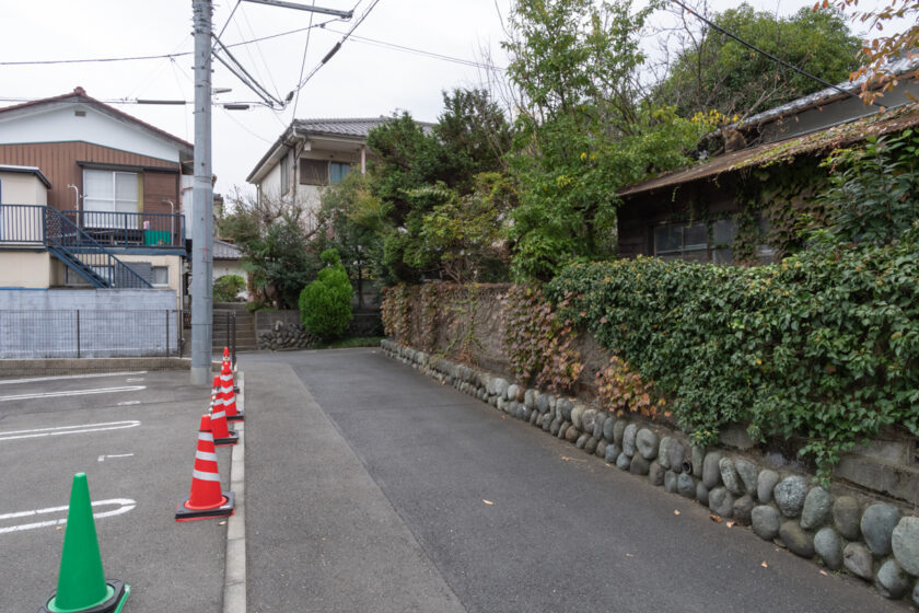 日野市の猫