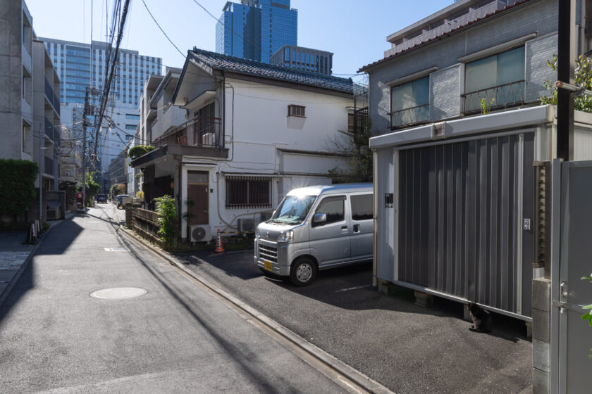 新宿区の猫