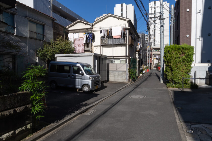 新宿区の猫