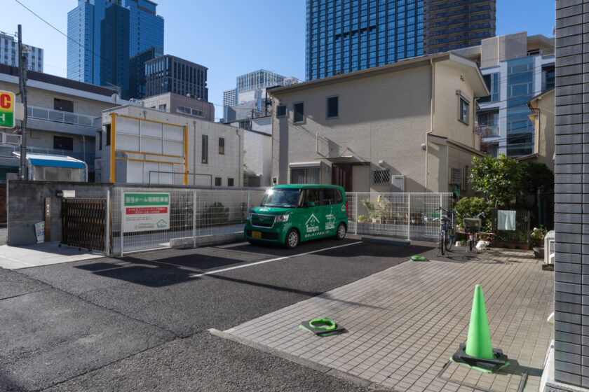 新宿区の猫