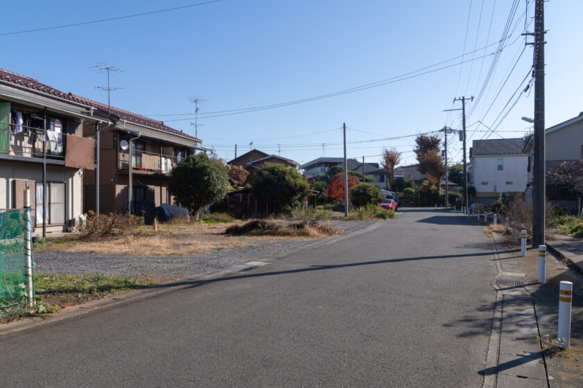 川崎市の猫