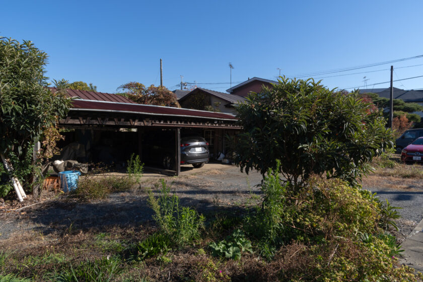 川崎市の猫