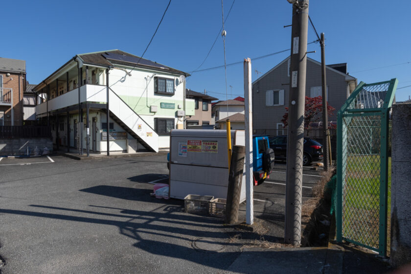 川崎市の猫